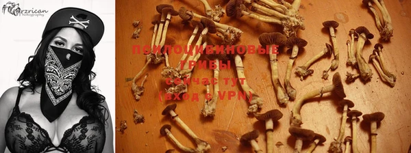 MESCALINE Арсеньев