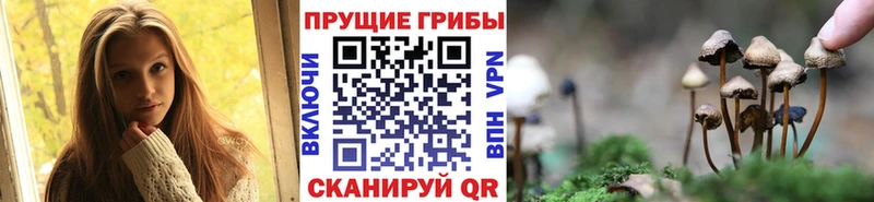 Галлюциногенные грибы GOLDEN TEACHER  Ельня 